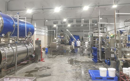 Popping Boba Production Line in Russia