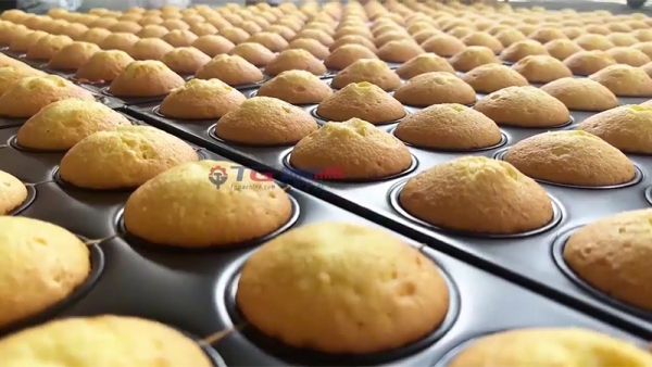 Semi-Automatic Cookie and Cupcake Production Line